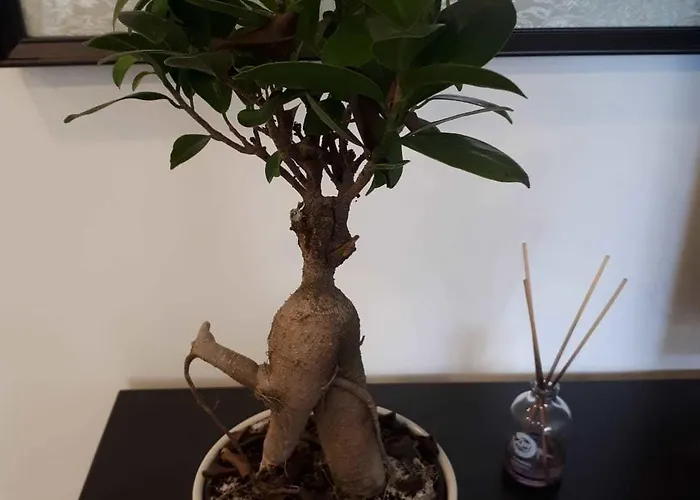 Republica 83 - Campo Pequeno